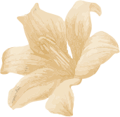 about-2-flower.png