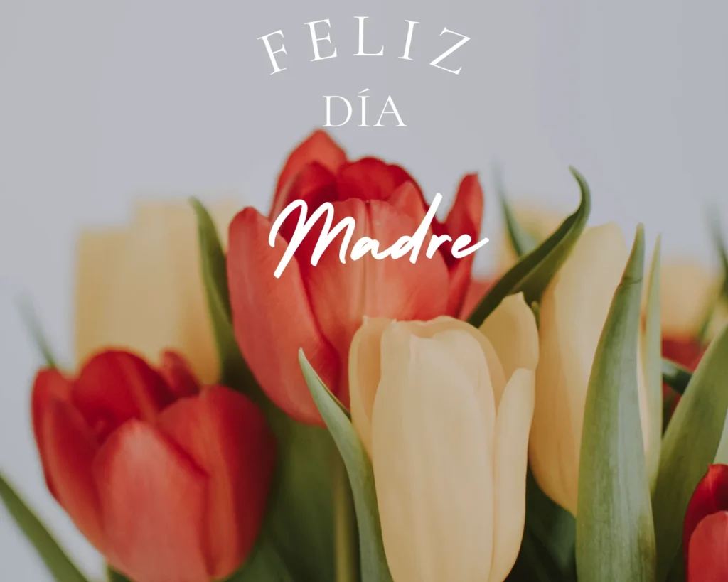 Feliz Dia Madre Madrid